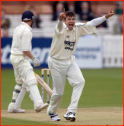 Justin Kemp appeals for the lbw of Jamie Dalrymple