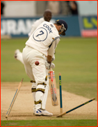 Simon Cook is bowled first ball by Ottis Gibson