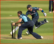 Darren Stevens is run out by Sussex's Michael Yardy, 2012