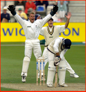 Adrian Aymes & Neil Johnson appeal, Stephen Fleming is lbw