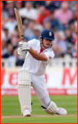 Alastair Cook during his double hundred v India, 2011