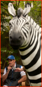 England captain Andrew Strauss and sponsors Zebra