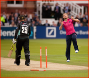Rory Hamilton-Brown is bowled by Steven Crook, 2012